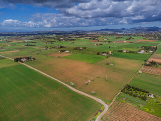 Naklejka premium Es Pla de Llodrà countryside, Manacor, Mallorca, Balearic Islands, Spain