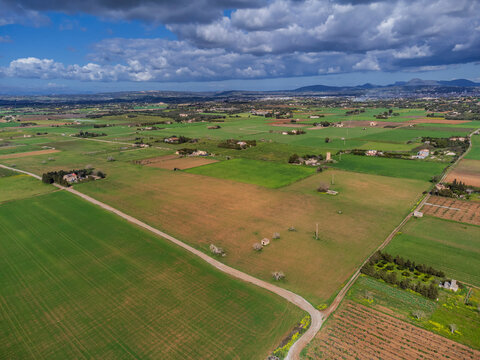 Es Pla de Llodr&agrave; countryside, Manacor, Mallorca, Balearic Islands, Spain