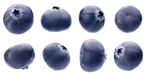 Set of fresh blueberries isolated