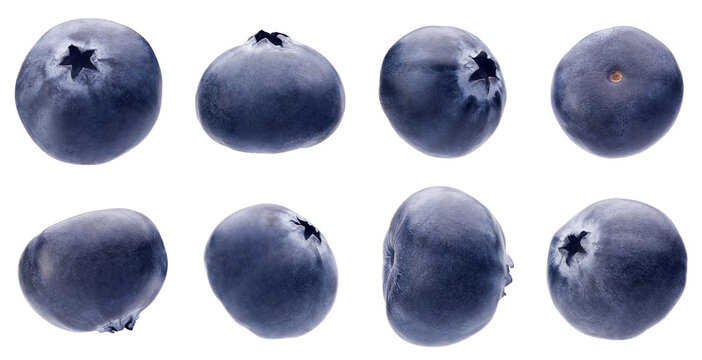 Set of fresh blueberries isolated - Powered by Adobe