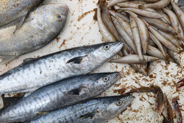 Fresh fish on the market