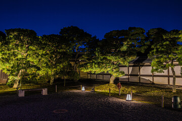 Obraz premium 紅葉風景