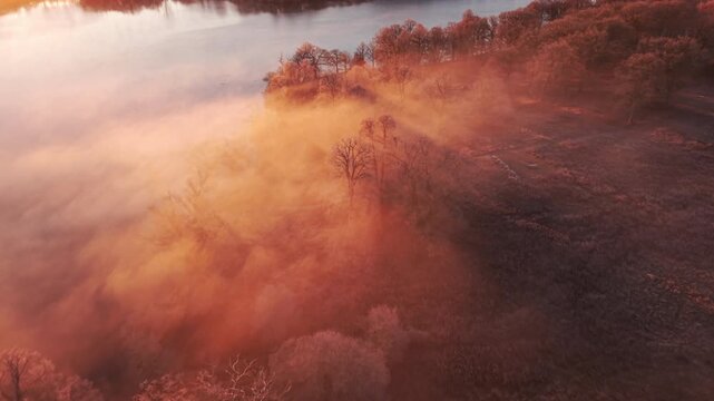 Misty forest and lake at sunrise in Sweden with fog and light reflecting on trees and water - Powered by Adobe