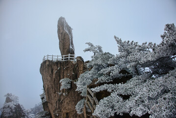Rime ice on a trees, winter in Huangshan National Park, Anhui, China