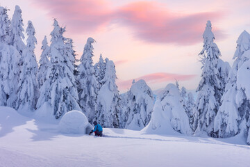 Winter snowy landscape with an igloo in a frosty forest under soft pink sunrise light. Snow covered trees, mountains and peaceful cold nature