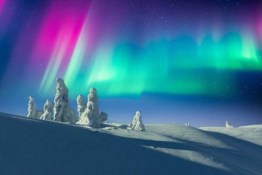 Vivid Aurora Borealis over snowy mountains and frozen trees. Bright Northern lights in clear winter night sky