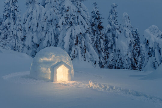 Small igloo glowing at night in a snowy winter forest. Cold snowy landscape surrounded by frosted trees in mountains