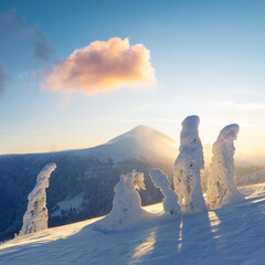 Fototapeta premium Frozen winter trees standing on a snowy hill at sunrise. Mountain snowy landscape with golden sunlight and long shadows