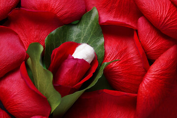 Tampon, Menstrual Cycle Female Reproductive Health