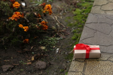 Gift Box With Red Ribbon Resting on Stone Path in Garden With Orange Flowers