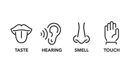 Obraz premium Understanding the five senses taste hearing smell touch sight