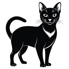 burmese cat black and white silhouette on white background