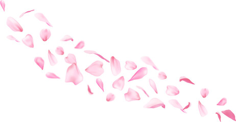 Flying Sakura Petals