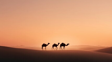 Three camel silhouettes walk across desert dunes under soft sunset light.