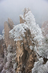 Winter wonderland, scenery in Huangshan National Park, Anhui, China