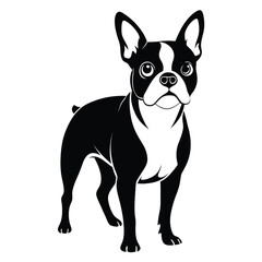 boston terrier black and white silhouette on white background