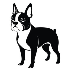 boston terrier black and white silhouette on white background