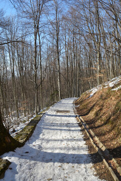 A snowy stone-edged hiking path on Medvednica mountain ascends through a tall, dense forest of bare trees under a clear, bright sky