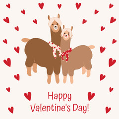 Romantic Valentine's Day card with a couple of llamas wearing scarves