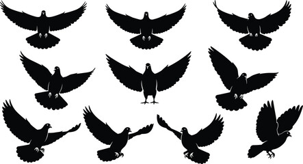 Flying pigeon silhouettes collection, dove bird black vector illustration, peaceful bird symbol, freedom wildlife design, nature animal art, flight concept