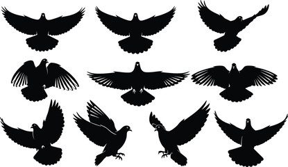 Flying pigeon silhouettes collection, dove bird vector illustration, black flying bird shapes, freedom symbol, peace design, wildlife art illustration
