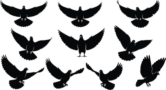 Flying pigeon silhouettes collection, dove bird black vector illustration, peaceful bird symbol, freedom wildlife design, nature animal art, flight concept