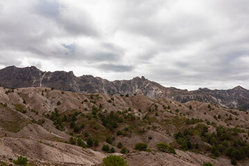 Undulating eroded hills dotted with sparse pine trees stretch towards a jagged mountain ridge, displaying the unique geological landscape of Sierra Nevada in Granada, Spain, under a cloudy sky.