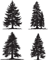 Sequoia tree silhouette vector illustration clipart