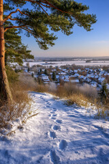 A snowy landscape with a tree in the foreground