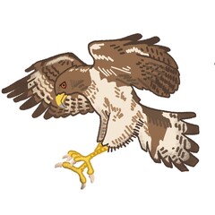eagle