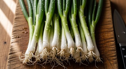 Freshly Washed Green Onions with Roots on a Wooden Cutting Board.