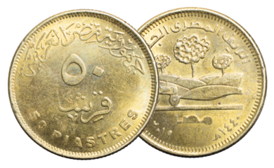 Egypt fifty piastres coin on a white isolated background