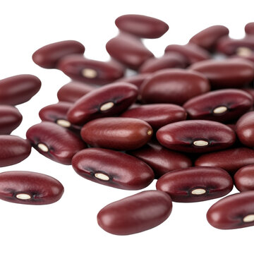 Dark red kidney beans scattered on a transparent background with copy space, showcasing glossy texture and white hilum under soft studio light, concept of natural freshness and healthy food