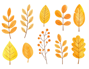 Watercolor illustrations of autumn leaves, branches, and berries. Various shades of orange and yellow