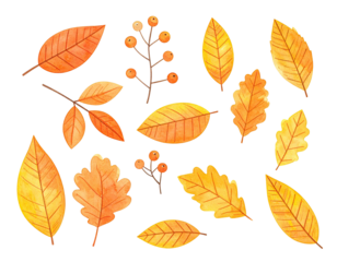 Watercolor illustration of various golden leaves and berries against a transparent background