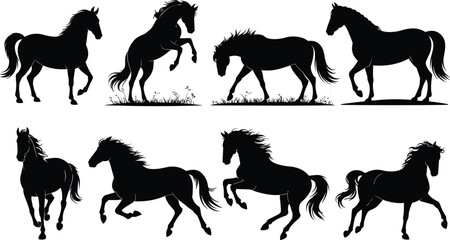 Horse silhouette, galloping horse, rearing horse, grazing horse, walking horse, black horse, animal pose, equine motion, vector art, isolated