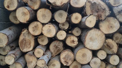 Fotobehang Brandhout Close-up of stacked firewood logs showing circular cross-sections and visible growth rings, rustic pattern concept.  © abdulmoizjaangda