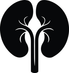 Kidney silhouette vector illustration, human internal organ graphic element
