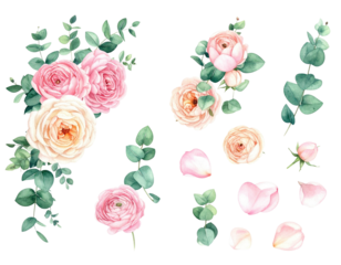 Watercolor depiction of assorted pink roses, foliage, and petals on a dark background