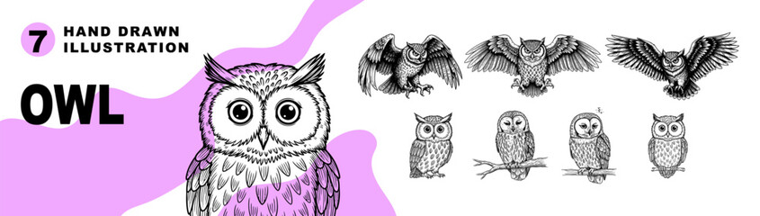 Set of engraving owl