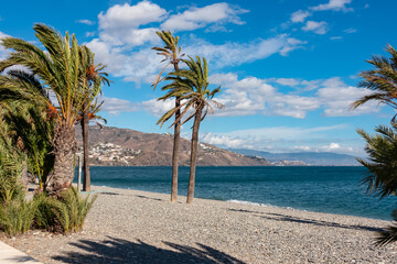 Obraz premium Tall palm trees sway gently on the gray pebble beach against a blue sea in Almuñécar, framing the rugged coastal mountains of the sunny Costa Granadina in the Andalusia region of southern Spain.