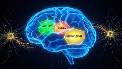 Educational interface that customizes skill building through visual mapping and analytical feedback