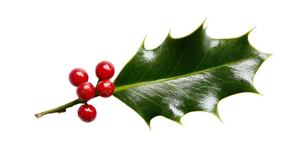Holly leaves red berries christmas decoration