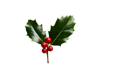 Holly leaves red berries christmas decoration