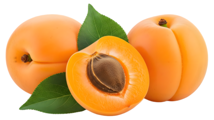 Fresh apricots with one halved fruit isolated on transparent background