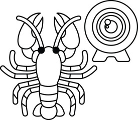 A crab is standing next to a camera