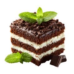 Decadent Chocolate Cake with Layers of Mint Garnish - Irresistible Dessert Delight