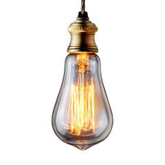 Elegant Glowing Edison Bulb Glass Light Fixture Illuminates Space