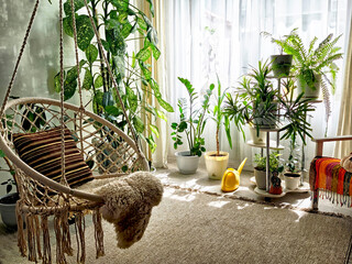 Obraz premium A vibrant indoor space featuring a hanging chair, numerous houseplants, and natural light streaming through sheer curtains.