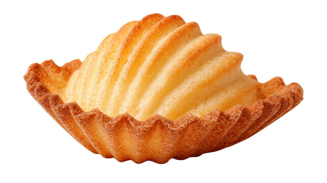 Golden Shell-Shaped Butter Cookie on White Background